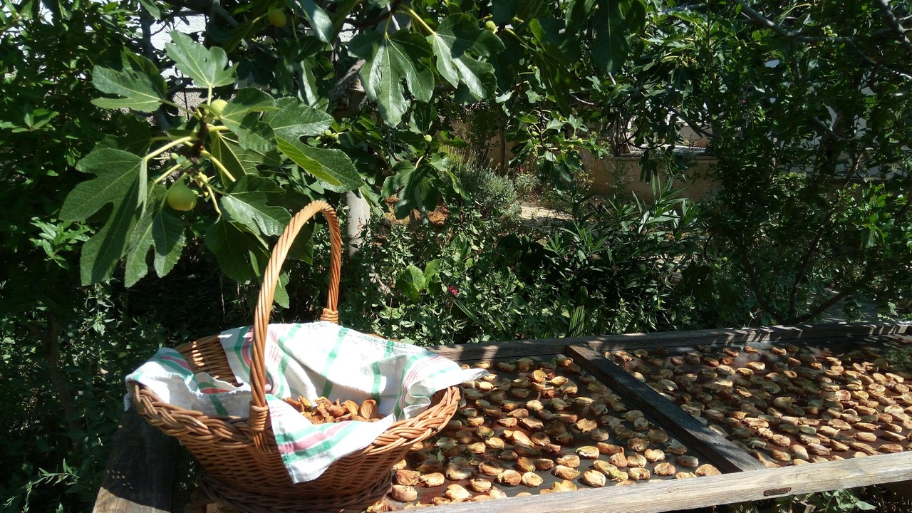Photo of Others in Pirovac