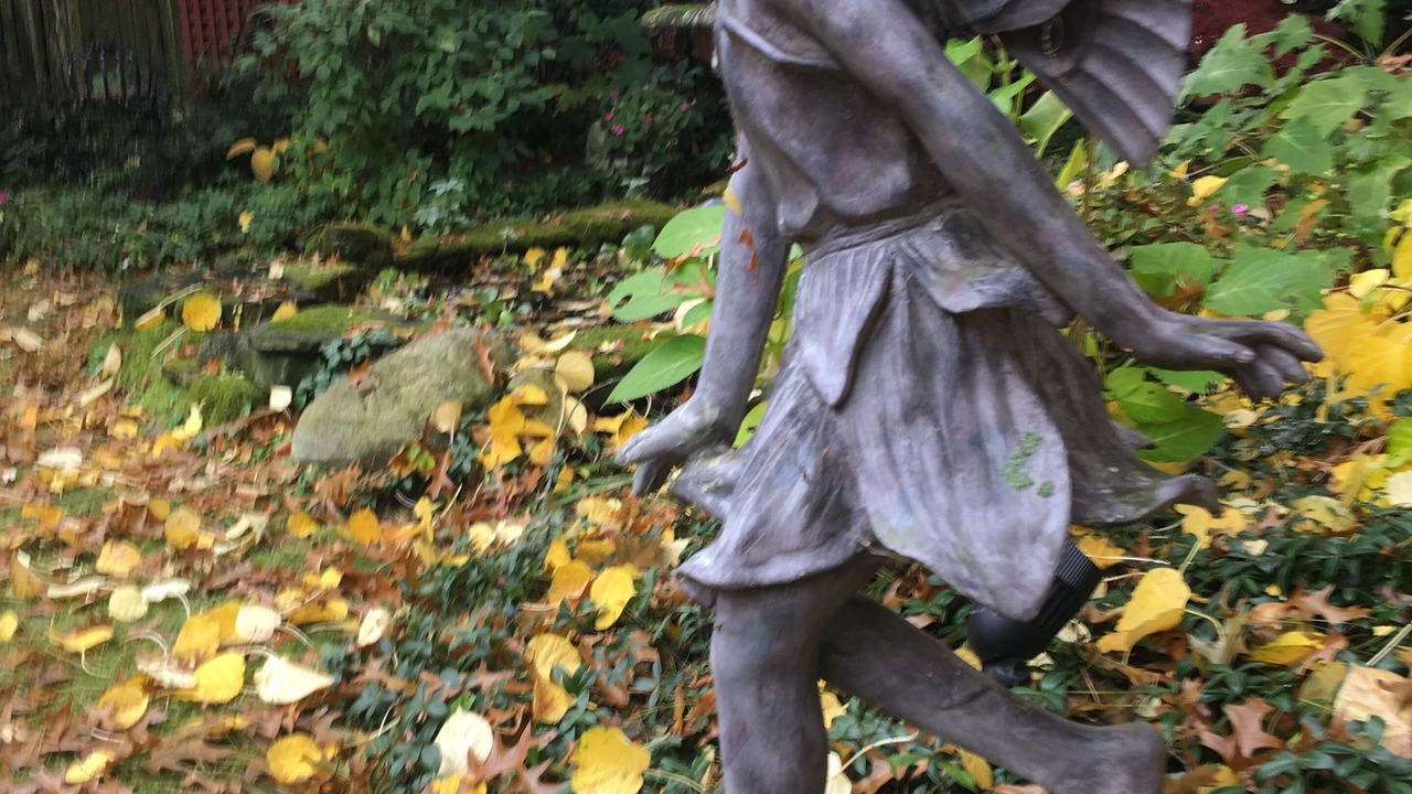 Photo of Outdoor in Saugatuck