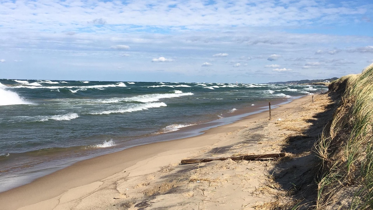 Photo of Outdoor in Saugatuck