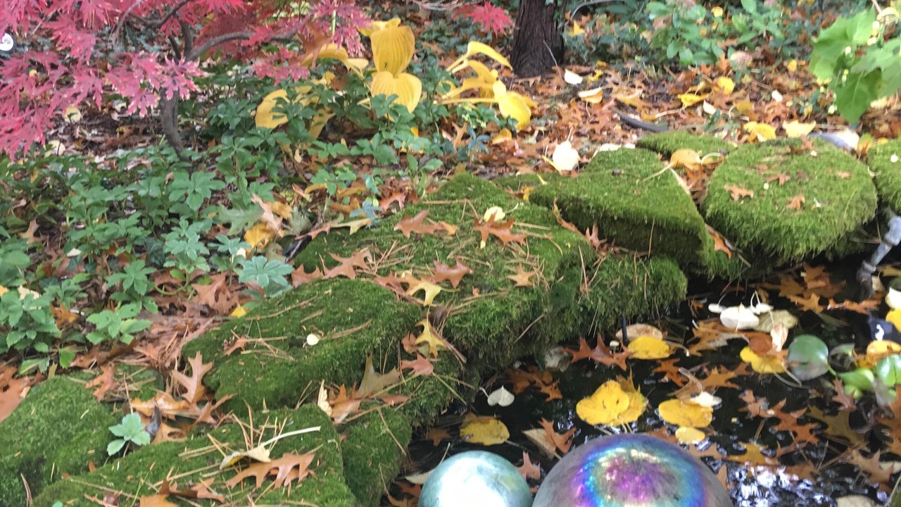 Photo of Others in Saugatuck