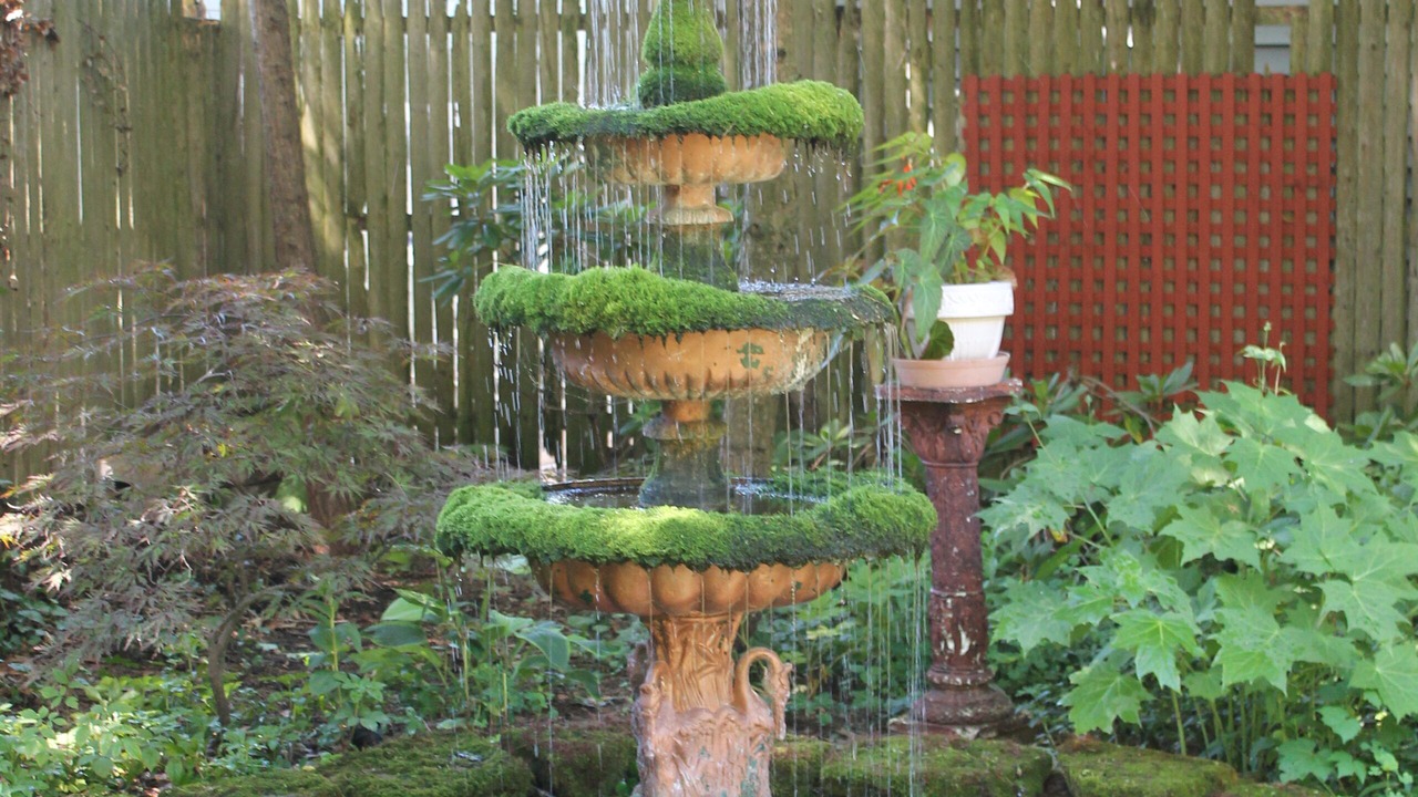 Photo of Outdoor in Saugatuck