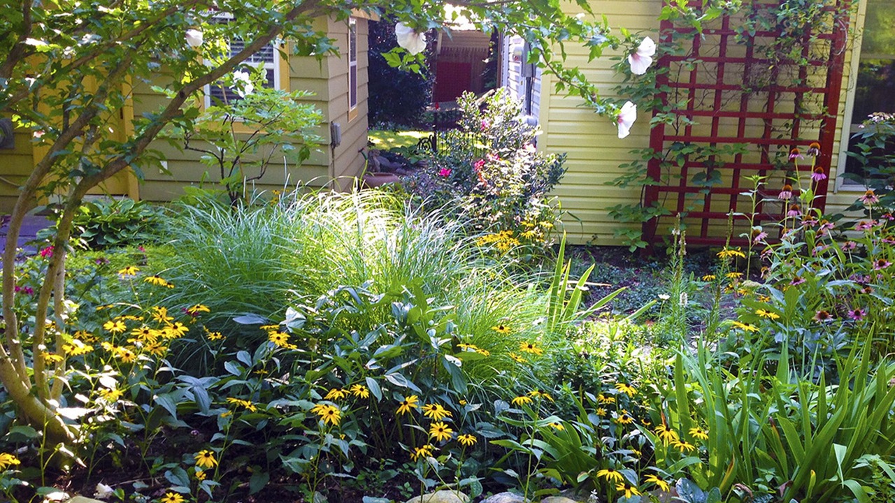 Photo of Outdoor in Saugatuck