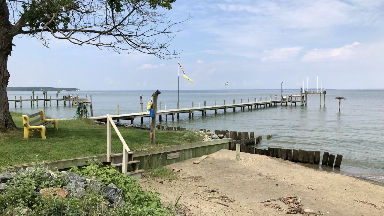 Photo of Others in Lottsburg