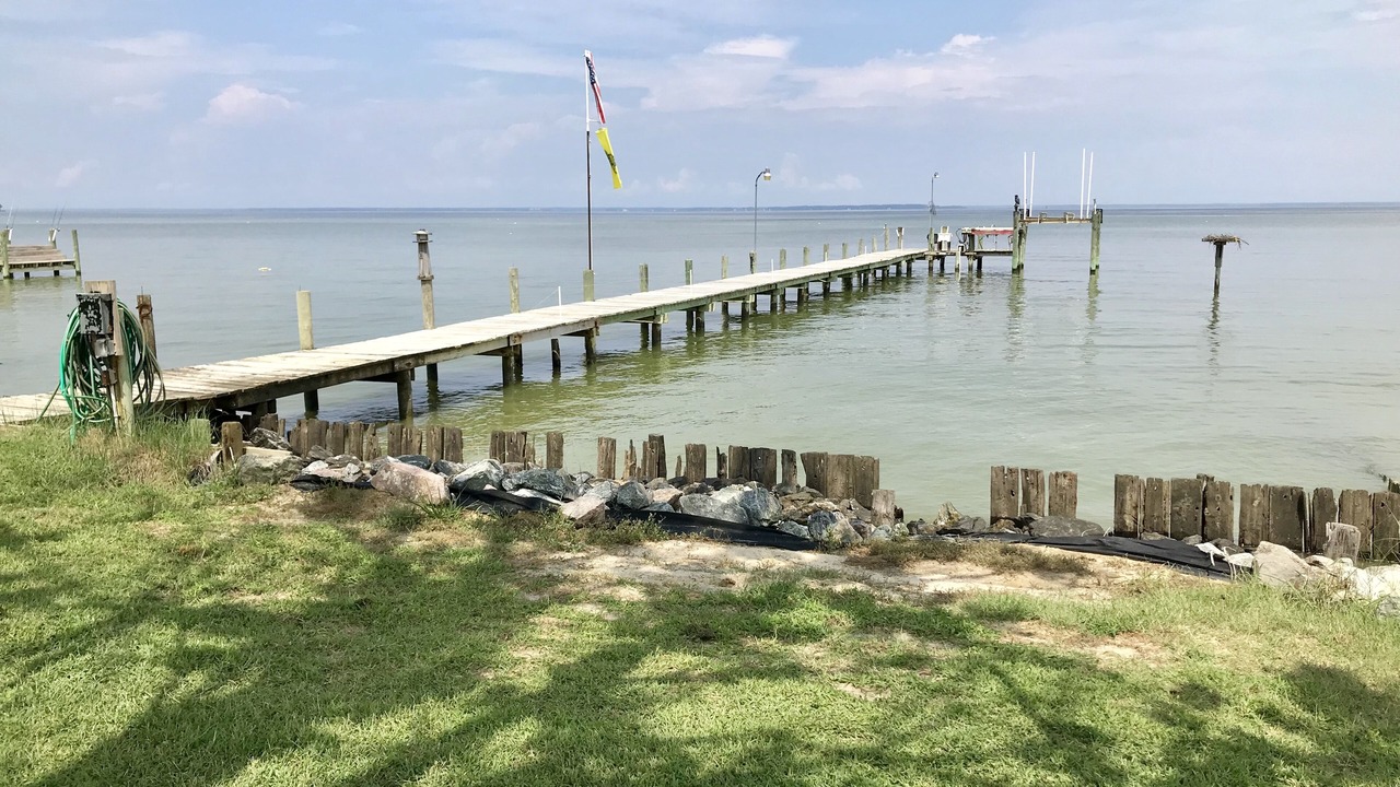 Photo of Others in Lottsburg