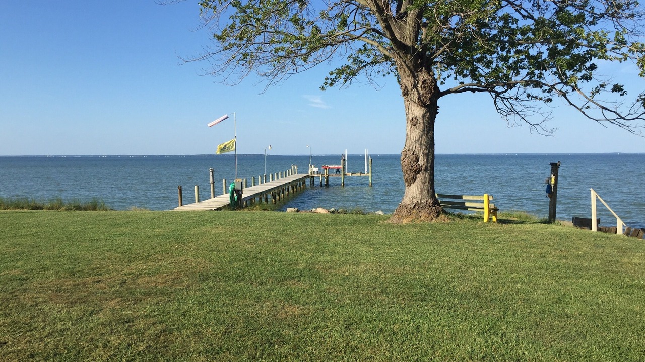 Photo of Outdoor in Lottsburg