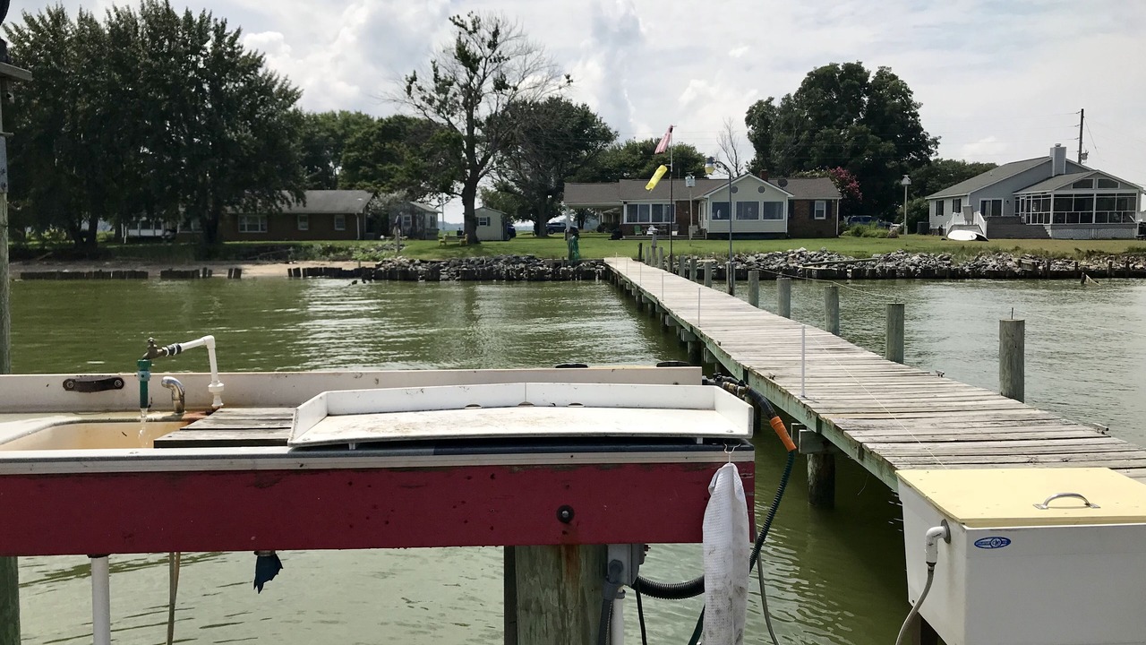 Photo of Others in Lottsburg