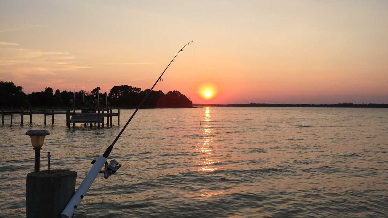 Photo of Others in Lottsburg