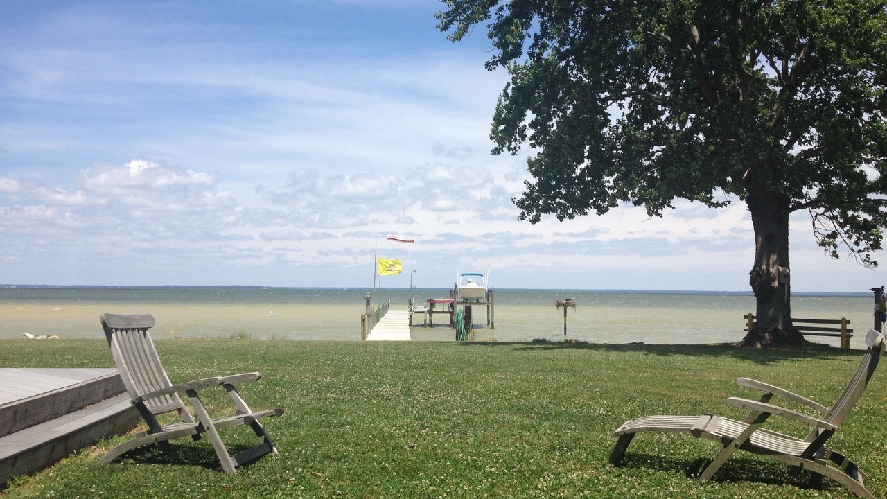 Photo of Others in Lottsburg