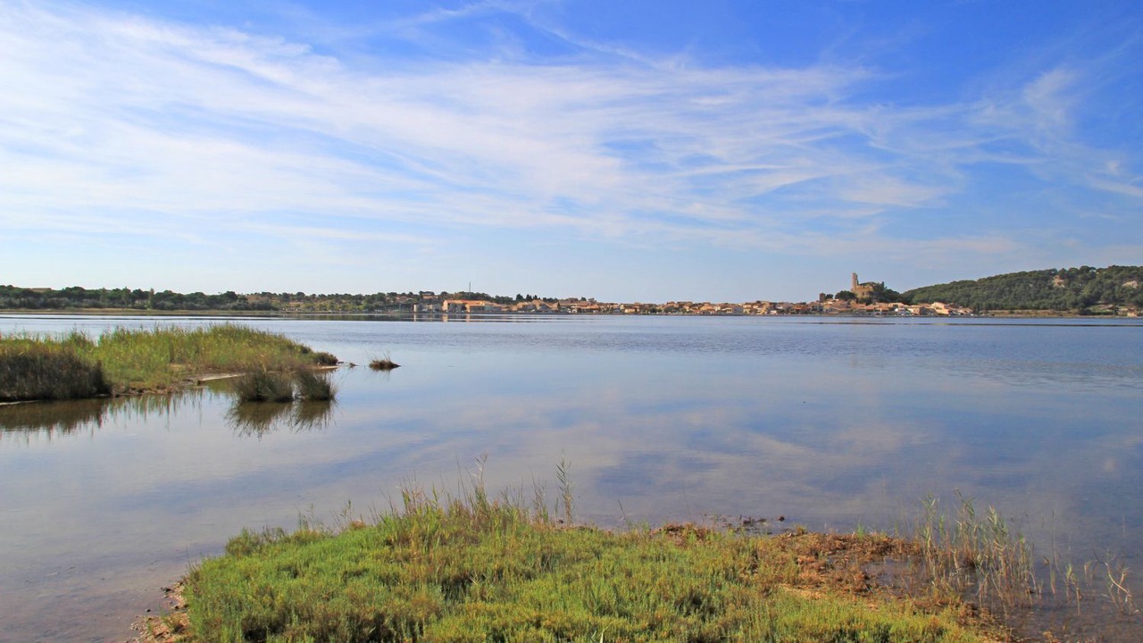 Photo of Outdoor in Les Ayguades