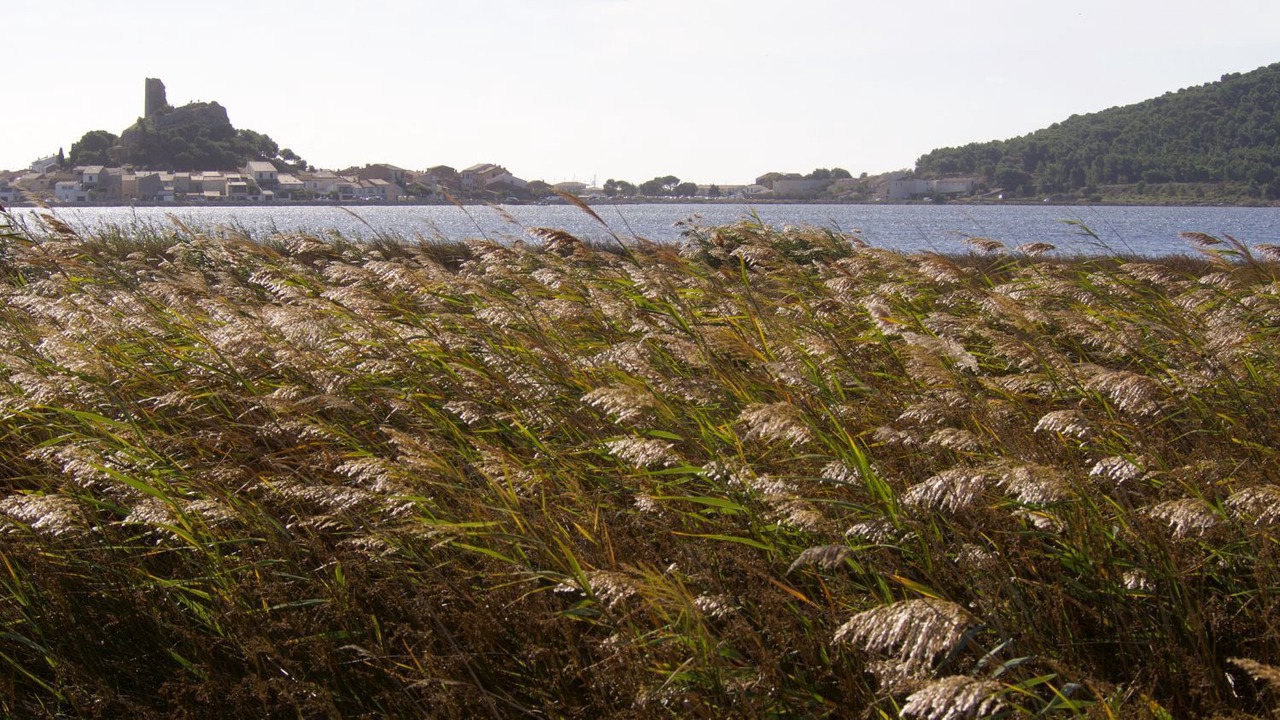 Photo of Others in Les Ayguades