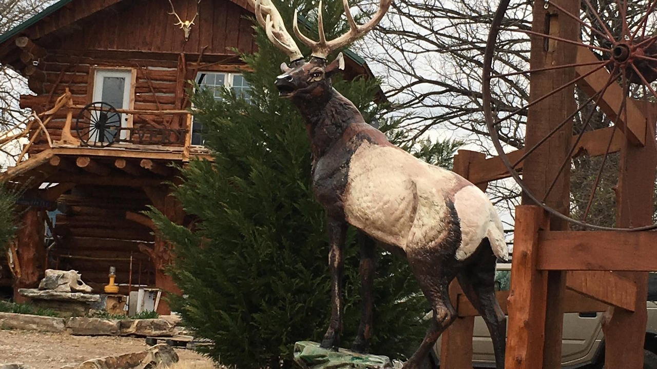 Photo of Outdoor in Saint Joe