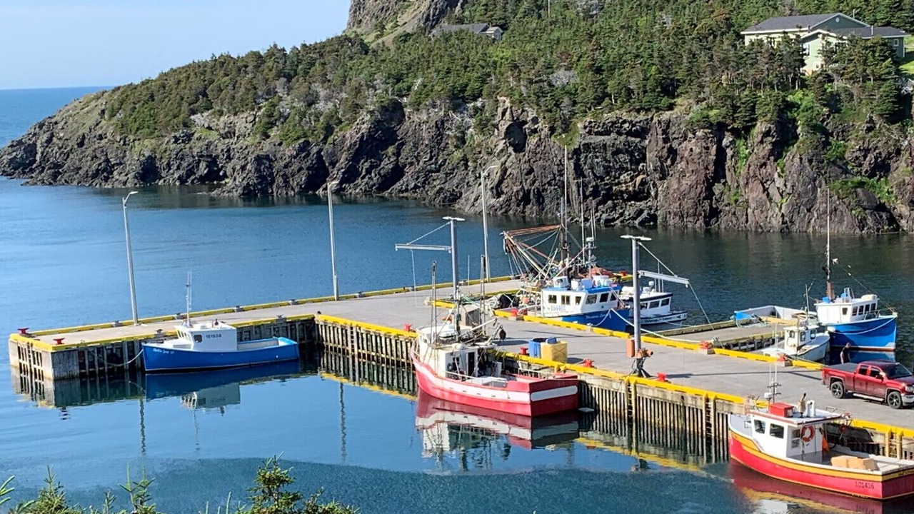 Photo of Others in York Harbour