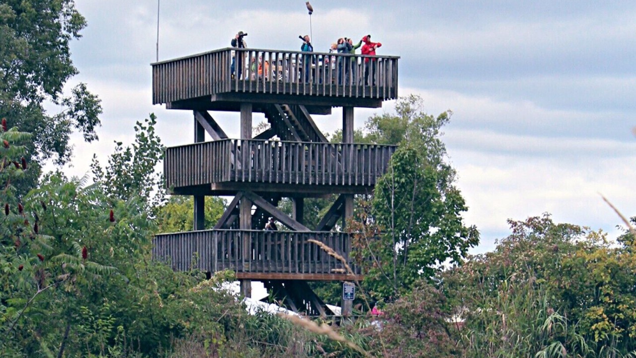 Photo of Others in Amherstburg