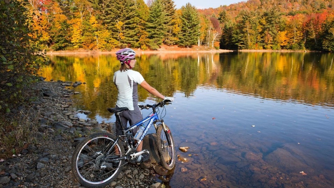 Photo of Others in Stowe Hollow