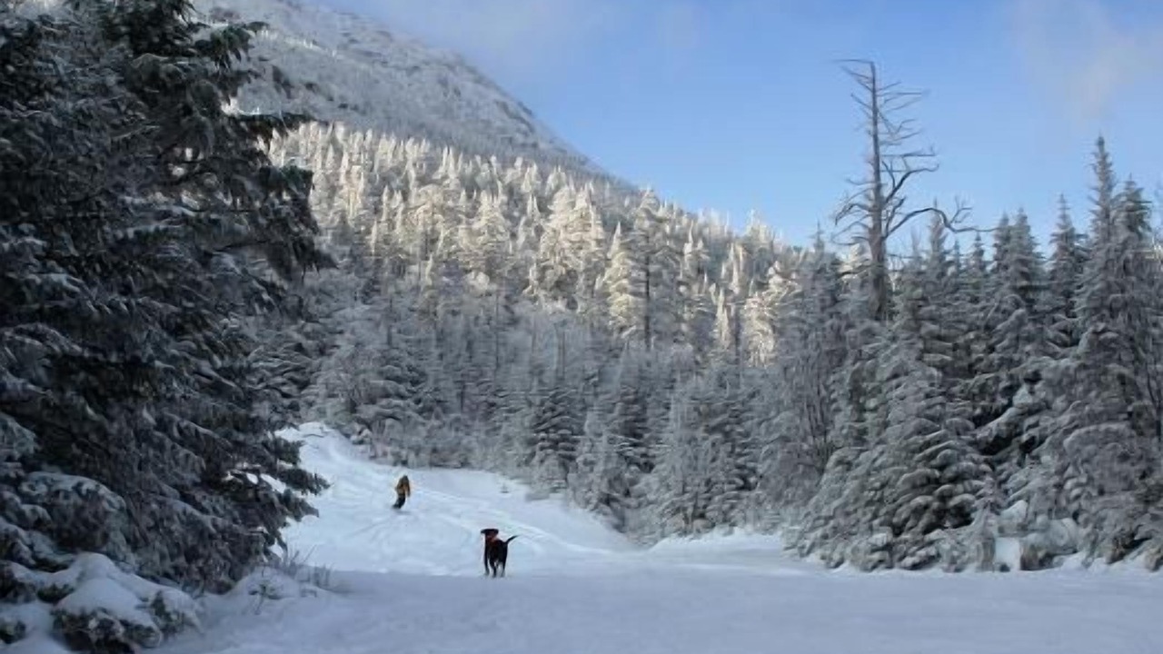 Photo of Others in Stowe Hollow