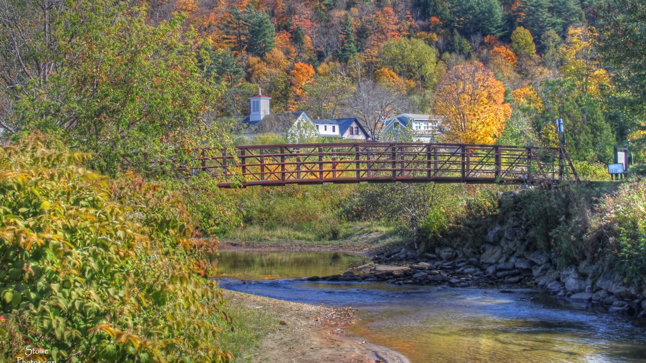 Photo of Others in Stowe Hollow