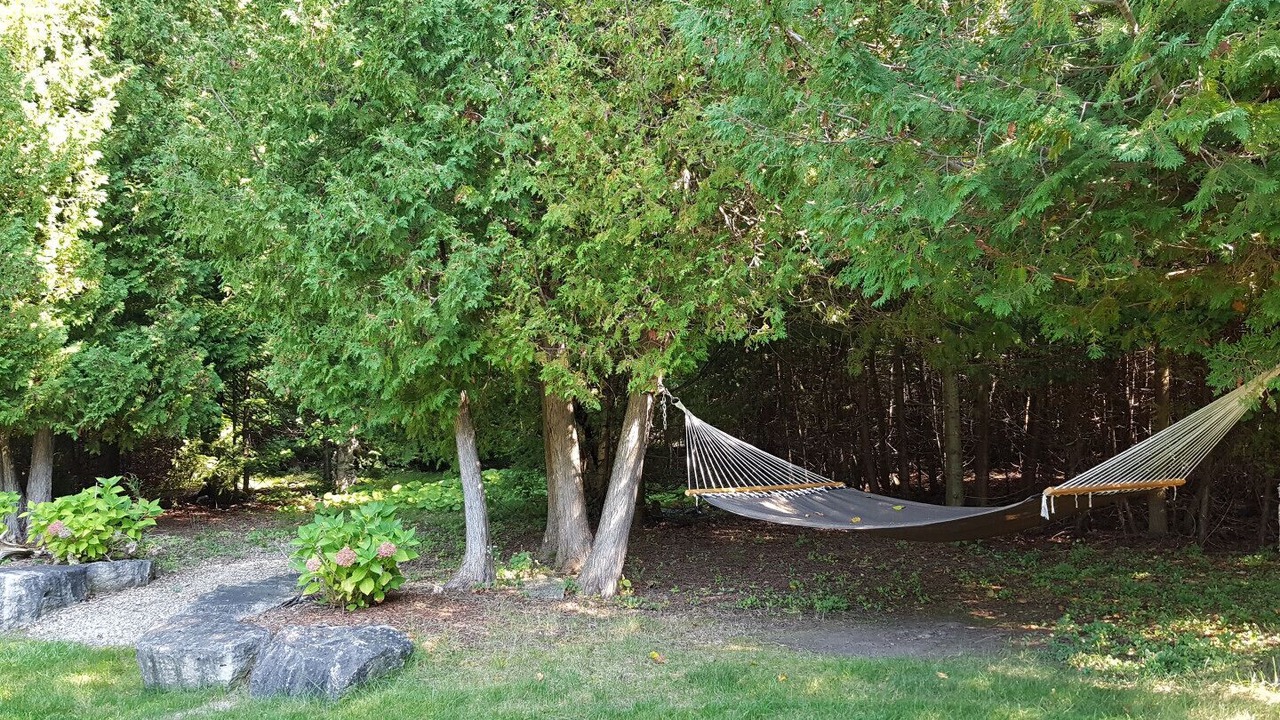 Photo of Others in Saugeen Shores