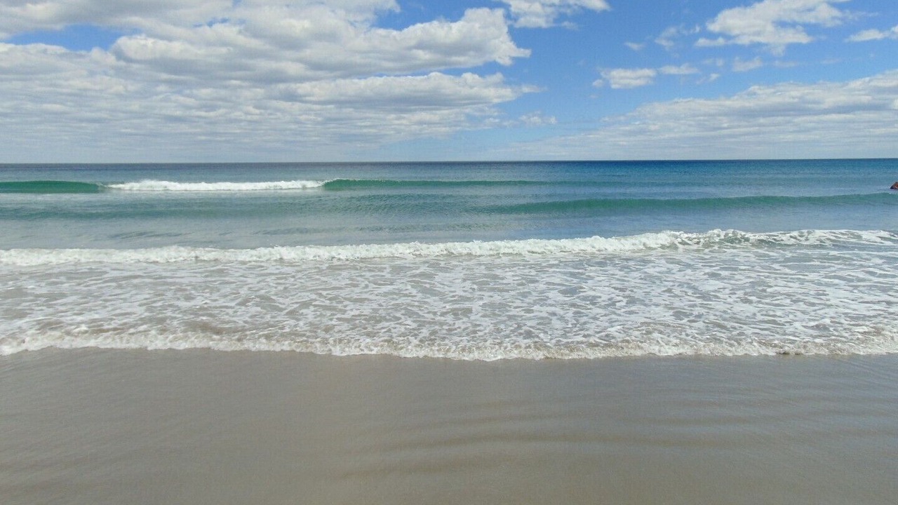 Photo of Others in Hunts Point