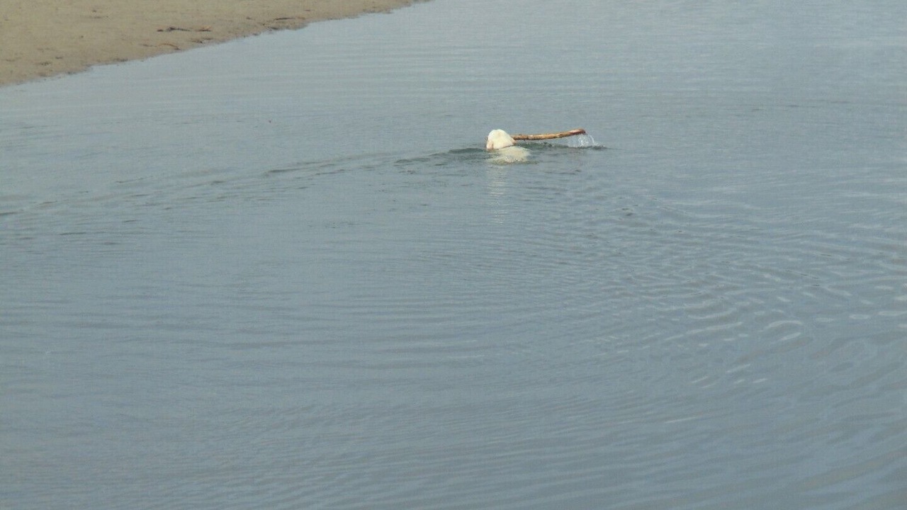 Photo of Others in Hunts Point