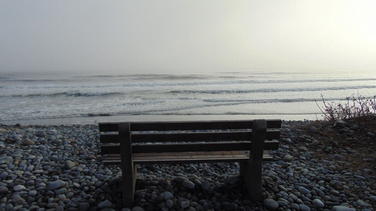 Photo of Others in Hunts Point