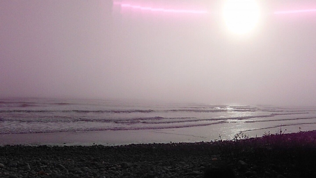 Photo of Others in Hunts Point