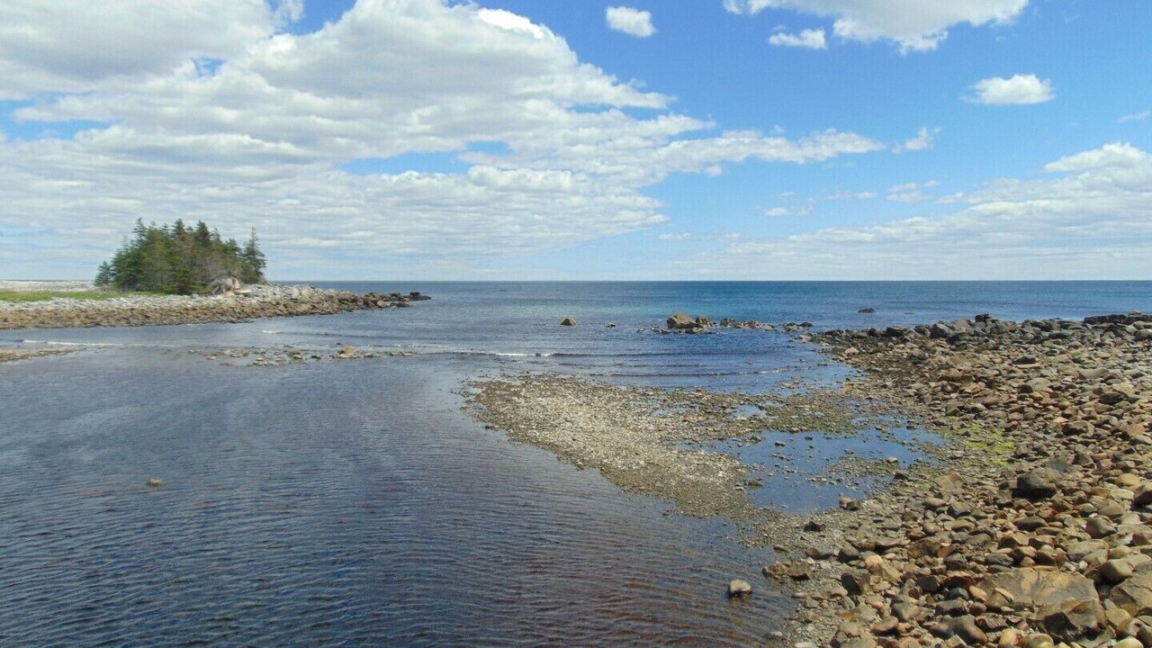 Photo of Others in Hunts Point