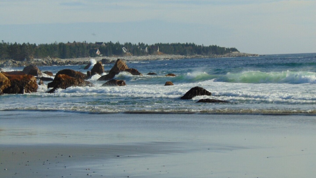 Photo of Others in Hunts Point