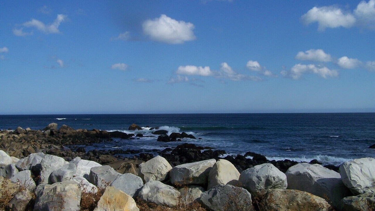 Photo of Others in Hunts Point