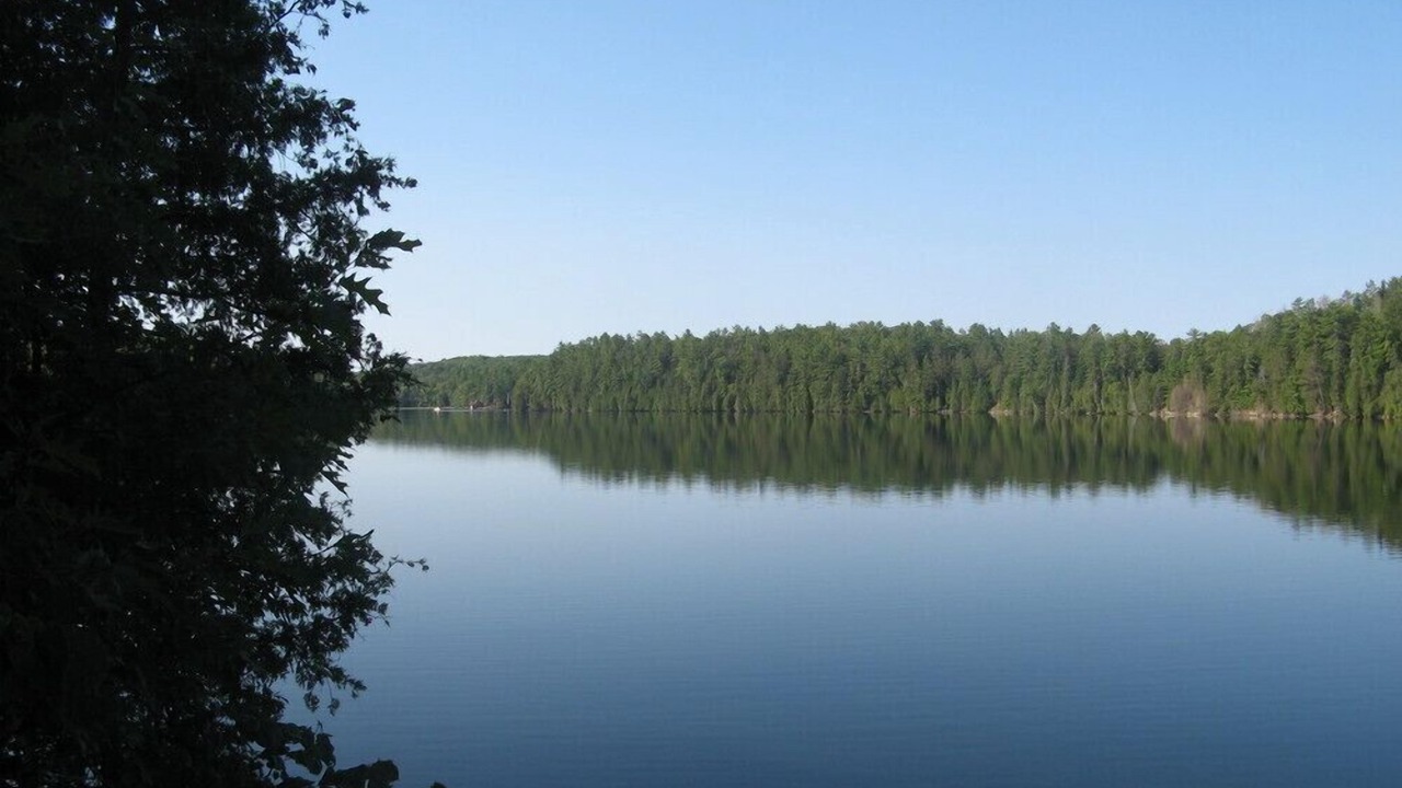 Photo of Outdoor in Minden Hills