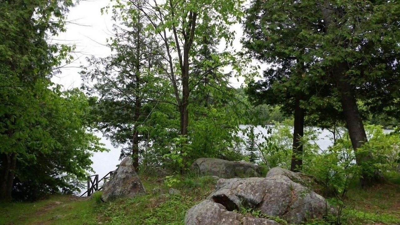 Photo of Outdoor in Minden Hills