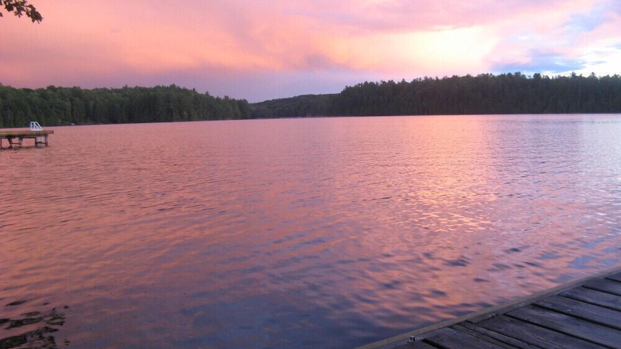 Photo of Others in Minden Hills
