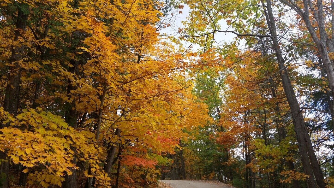 Photo of Outdoor in Minden Hills