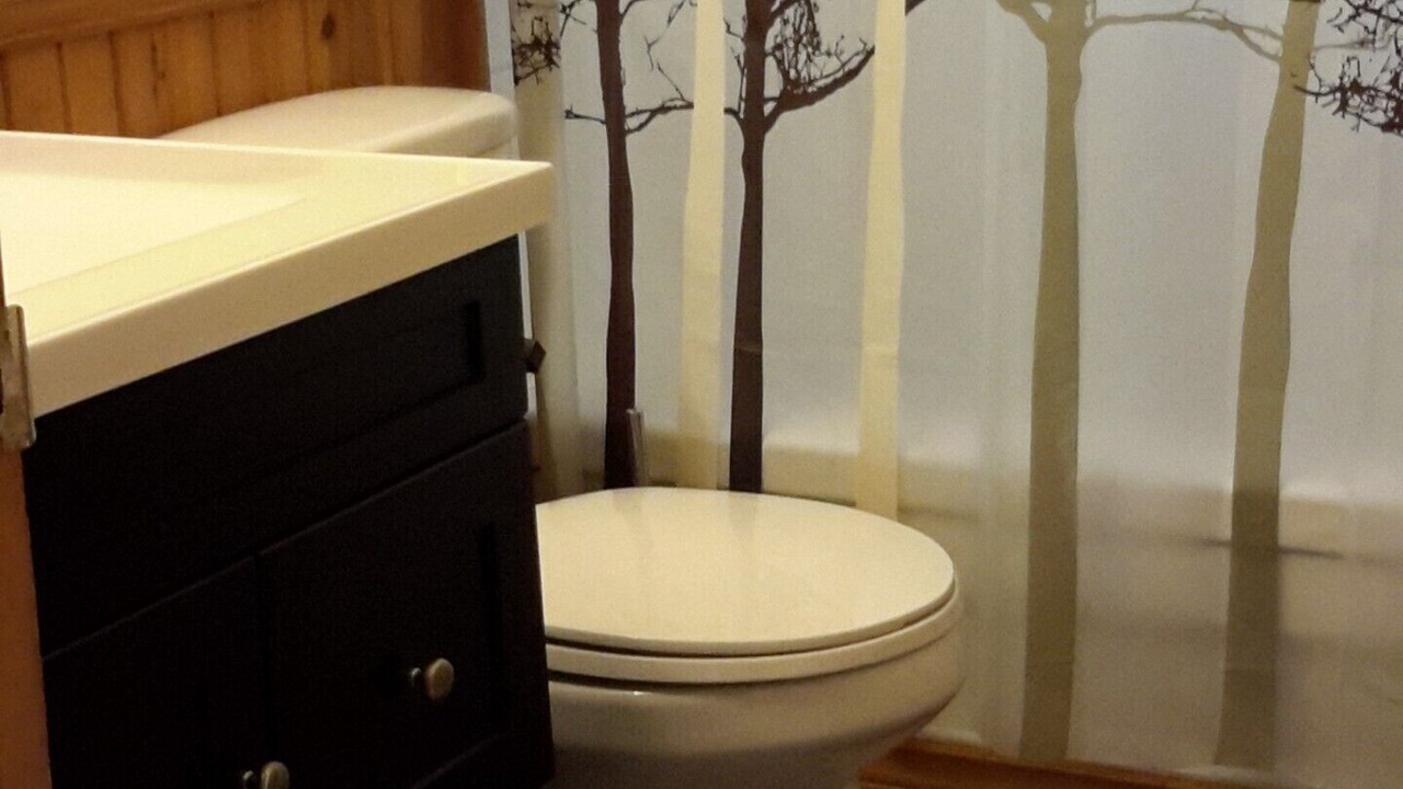 Photo of Bathroom in Minden Hills