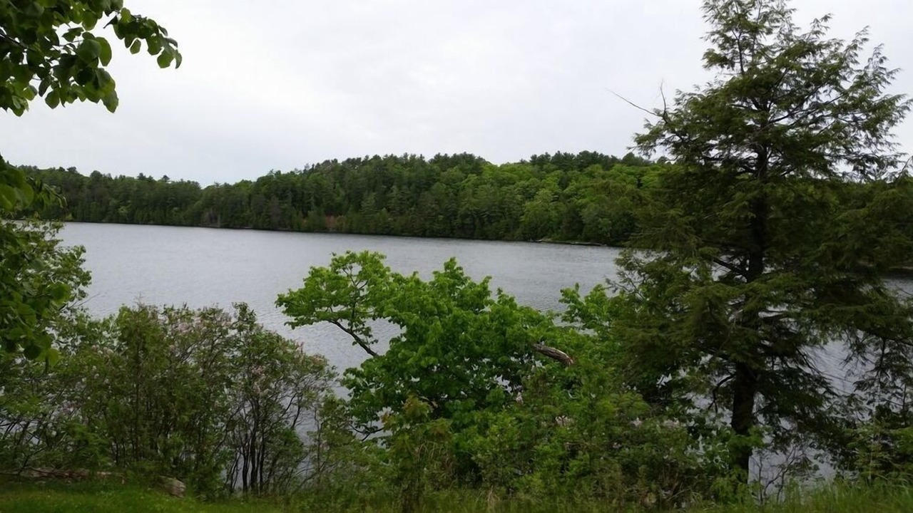 Photo of Others in Minden Hills