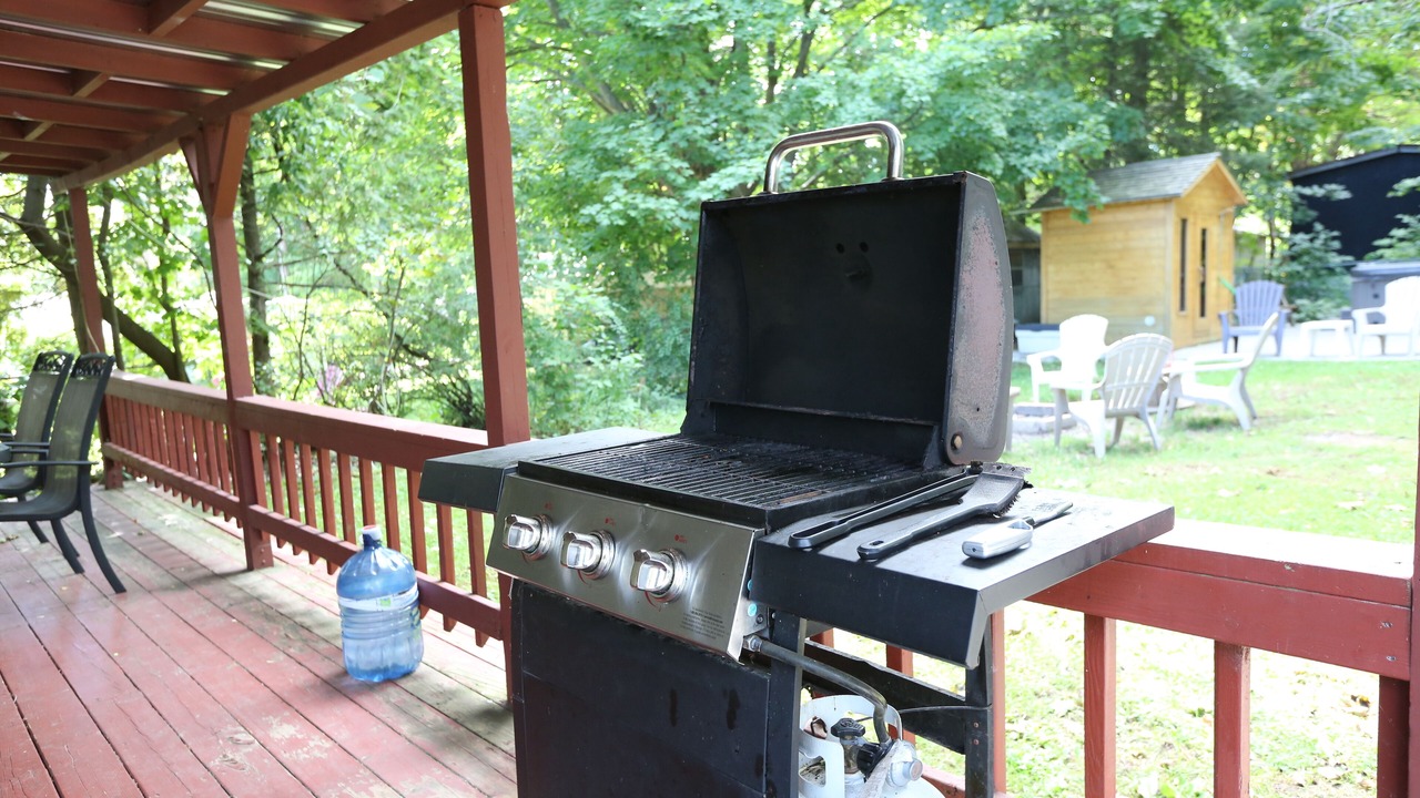 Photo of Outdoor in Alcona