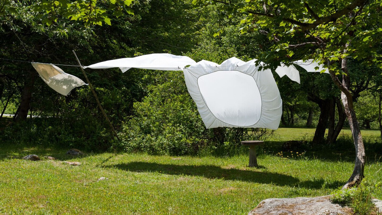 Photo of Others in Port Joli