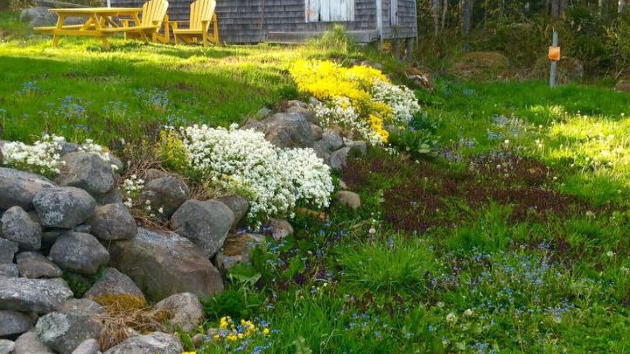 Photo of Others in Port Joli