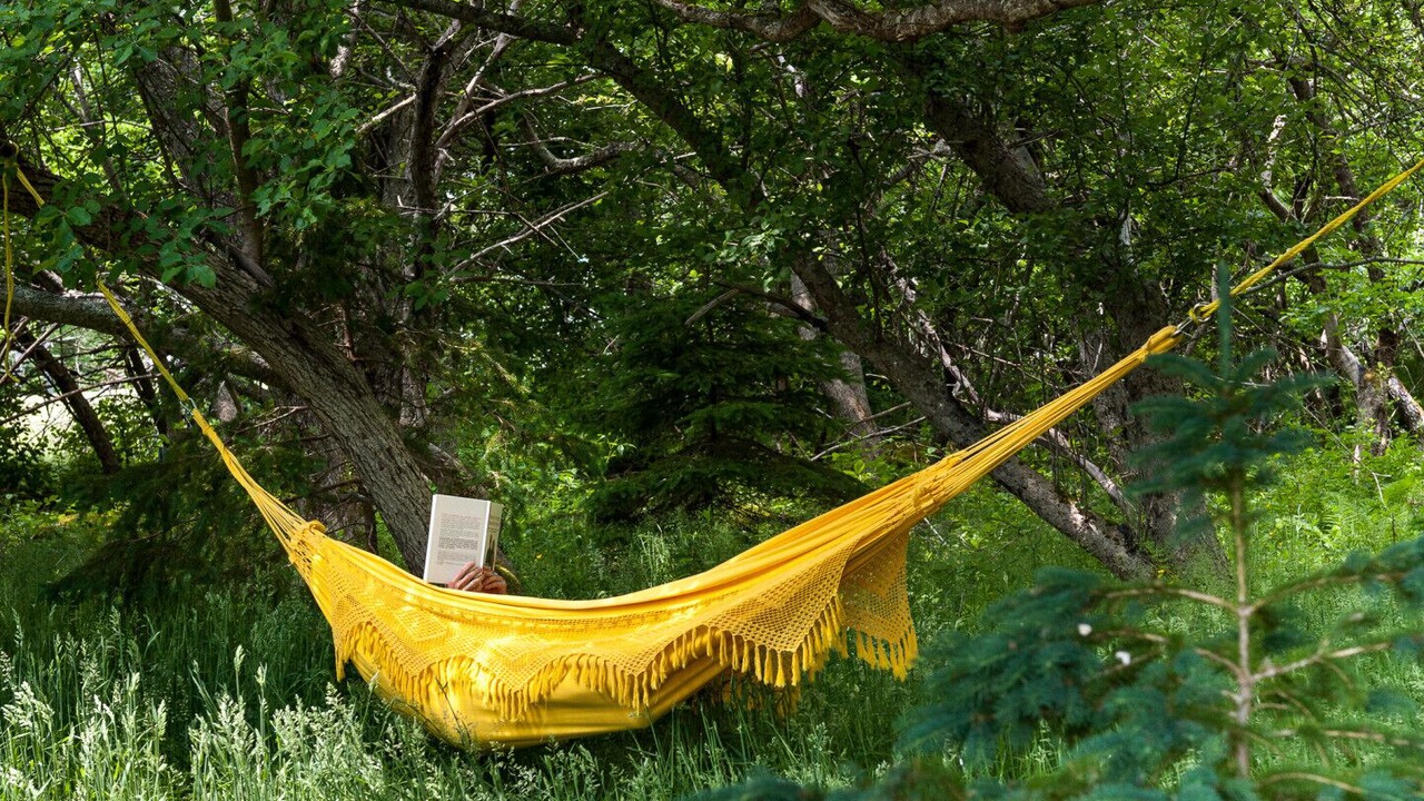 Photo of Others in Port Joli