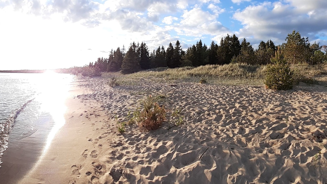 Photo of Others in Providence Bay