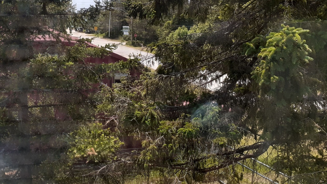 Photo of Others in Providence Bay