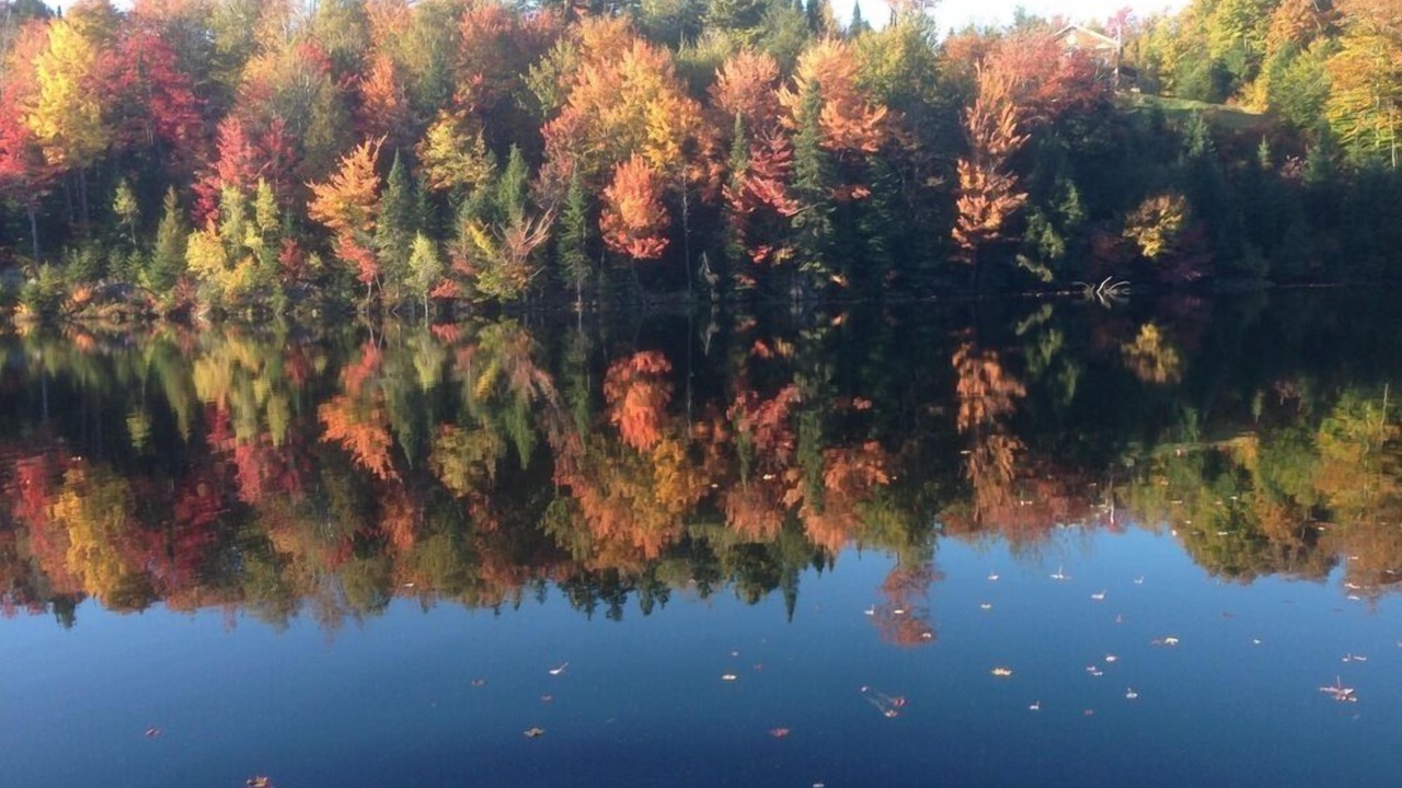 Photo of Others in Mille-Isles