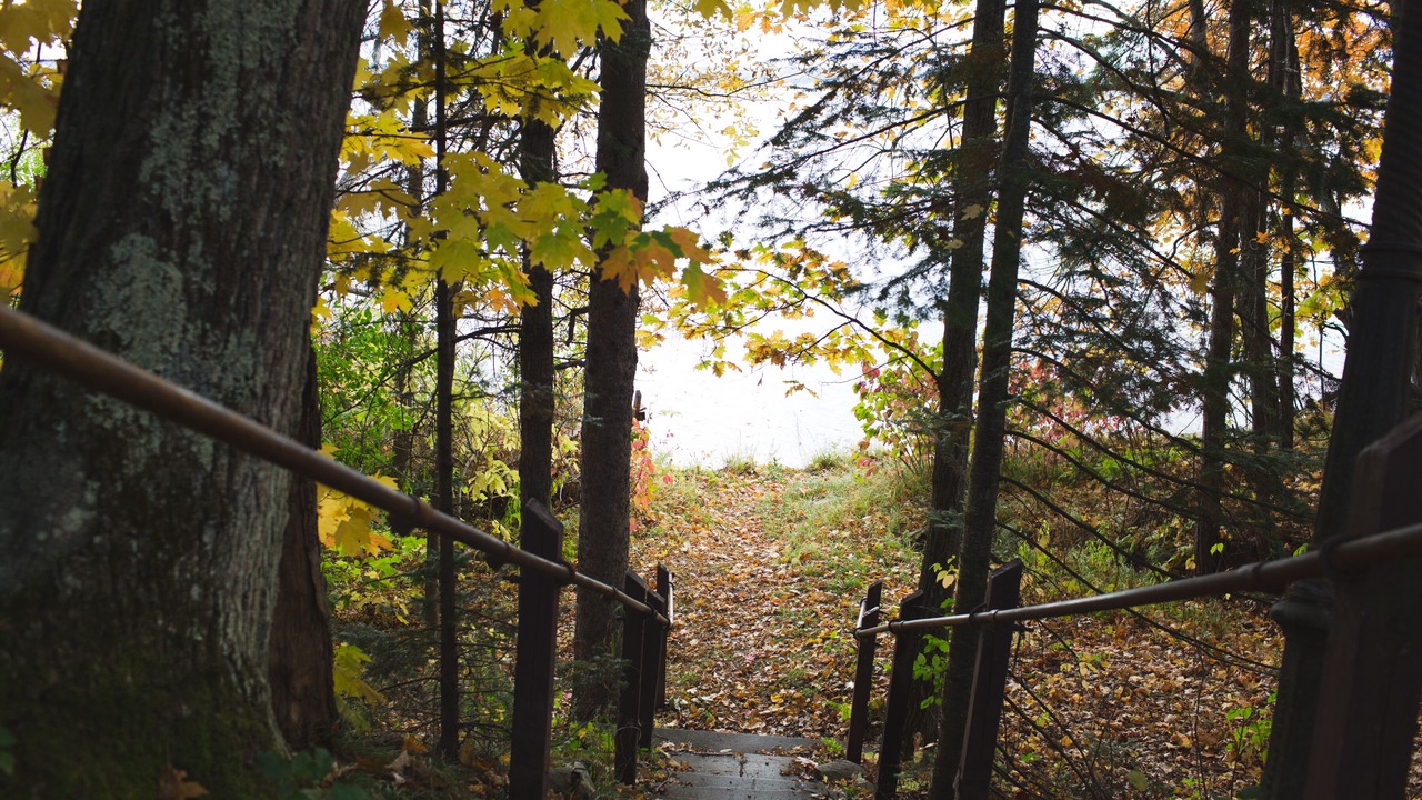 Photo of Others in Ashland