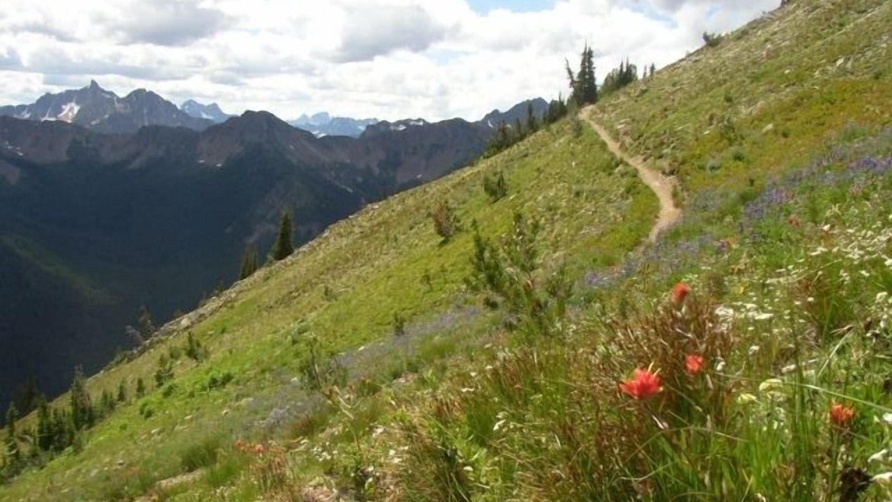 Photo of Others in Mazama