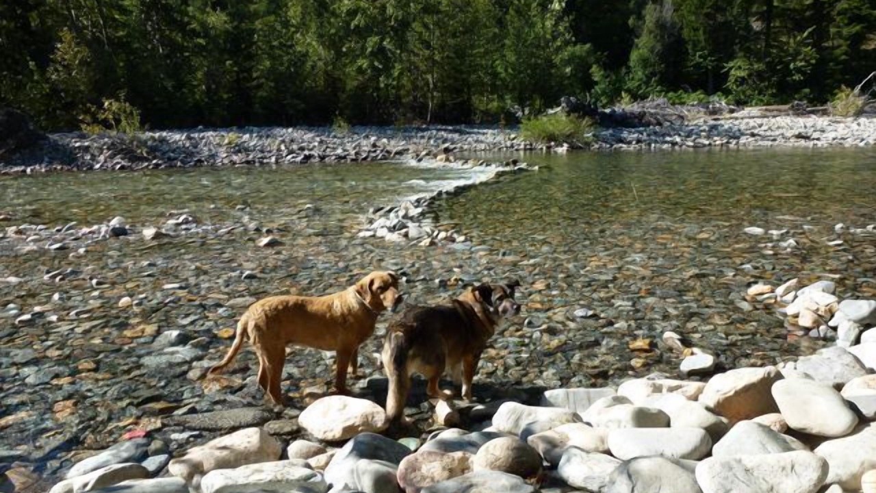 Photo of Others in Mazama