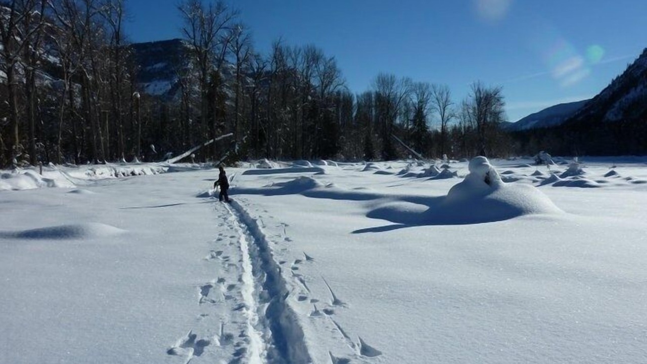 Photo of Others in Mazama