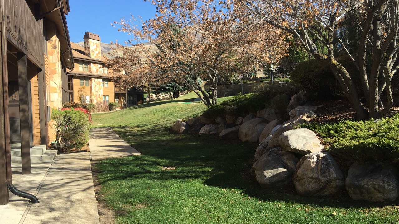 Photo of Outdoor in Eden