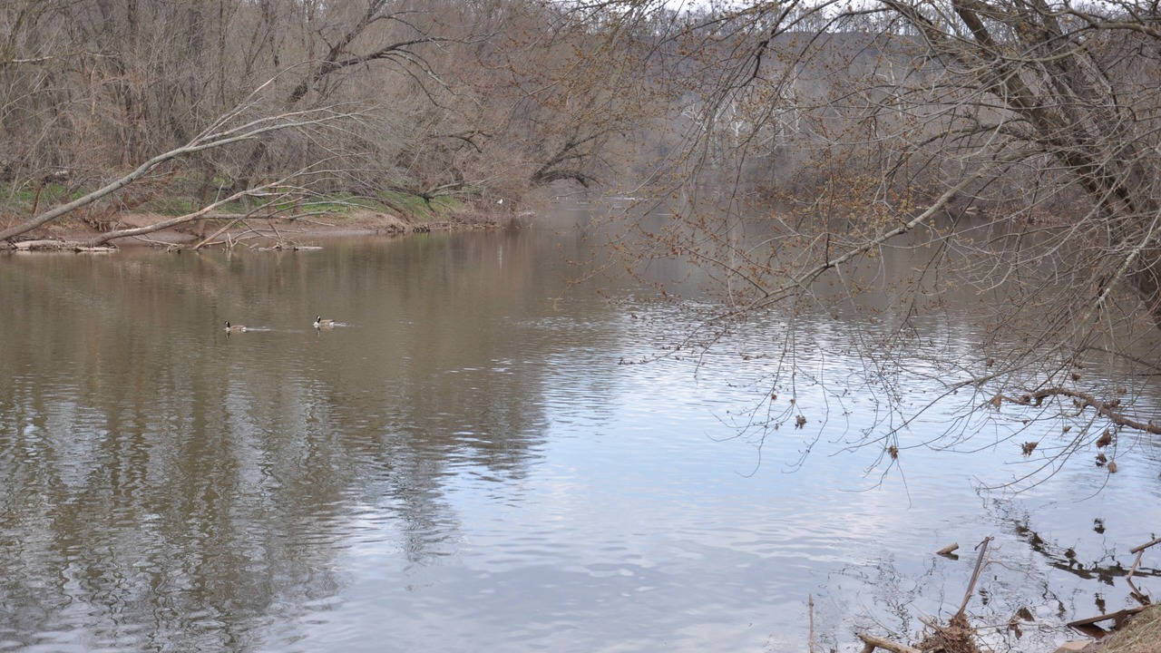 Photo of Others in Urbana