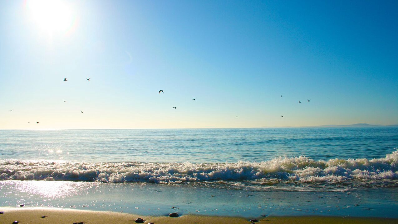 Photo of Others in Oak Harbor