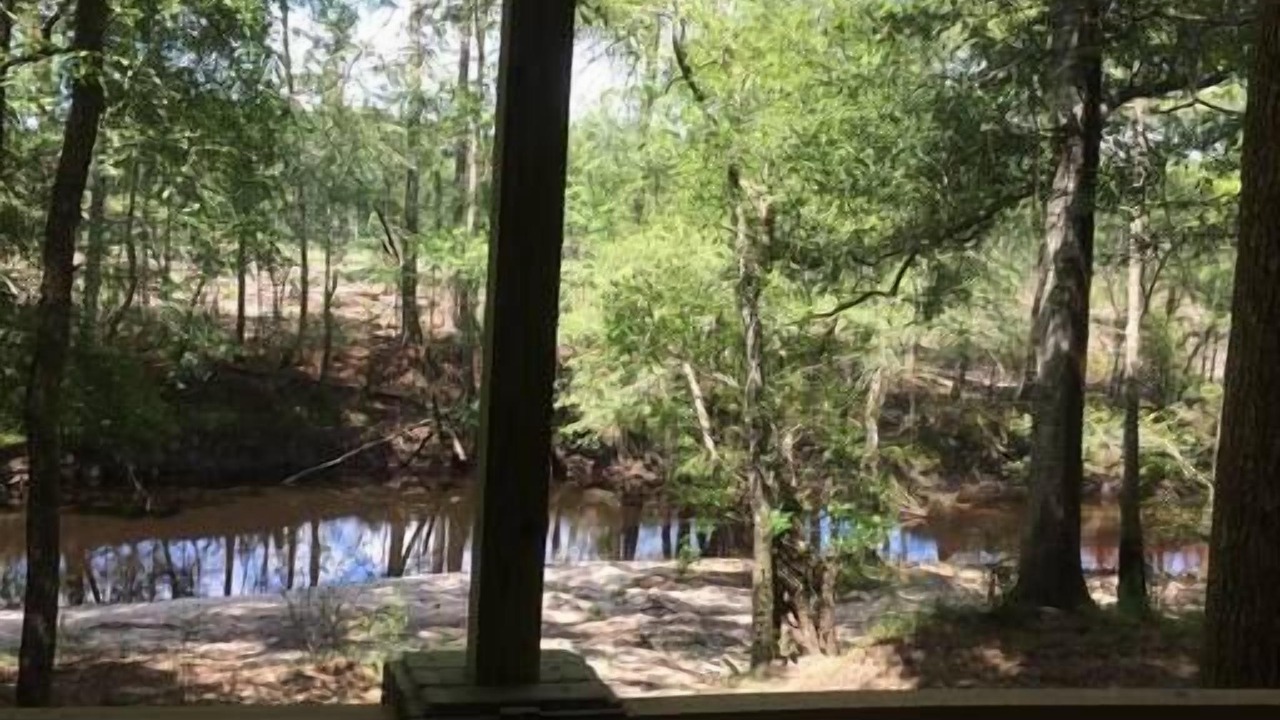 Photo of Others in Claxton