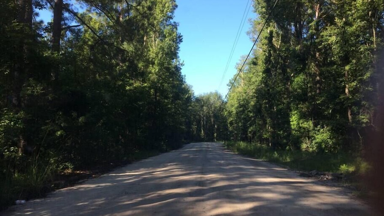 Photo of Others in Claxton